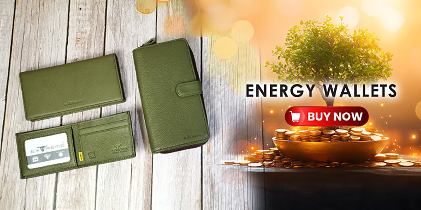 Check Out Our Energy Wallets