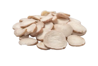 Atractylodes