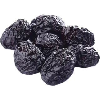 Rehmannia