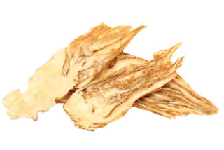 Dong Quai