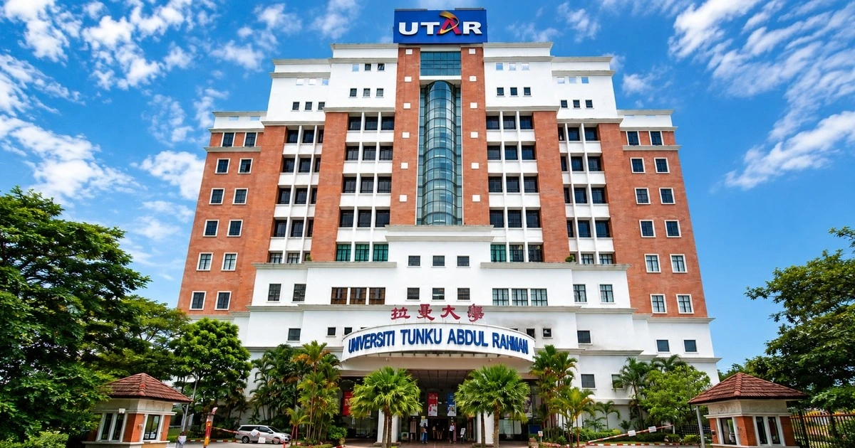 Research Programmes