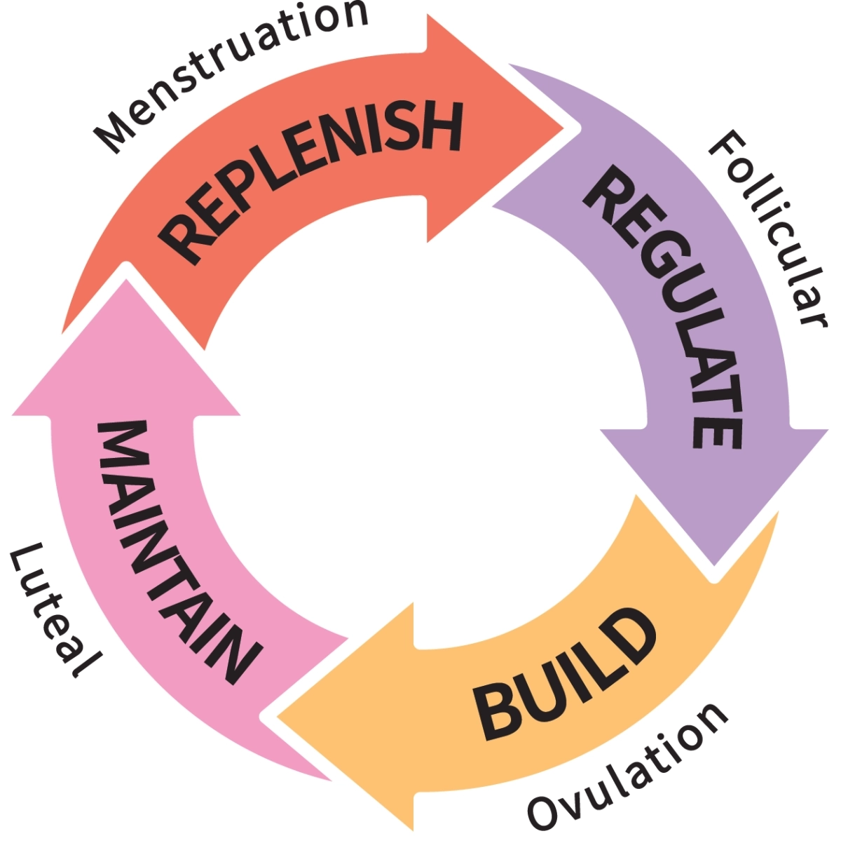 Structured cycle care visual