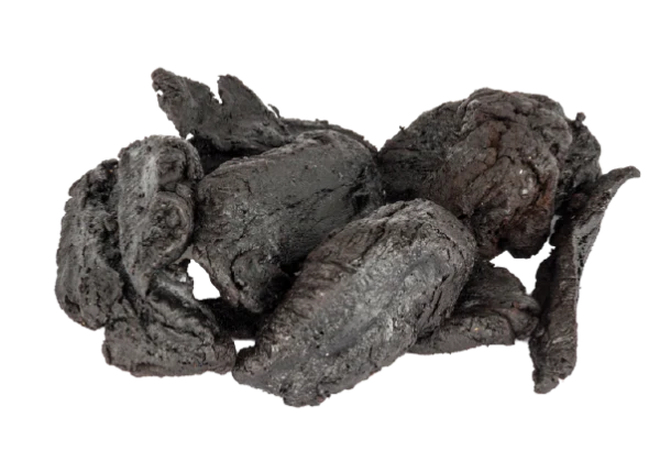 Rehmannia