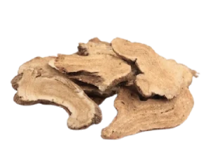 Chinese angelica