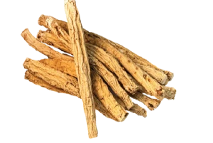 Codonopsis root