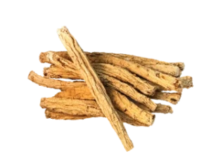 Codonopsis root