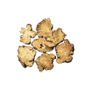 Szechwan lovage rhizome