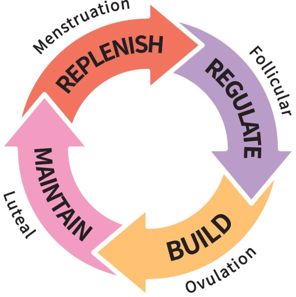 Structured cycle care visual
