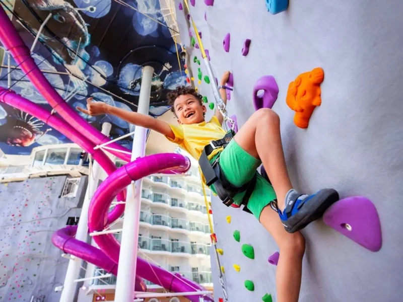 Rock Climbing Wall